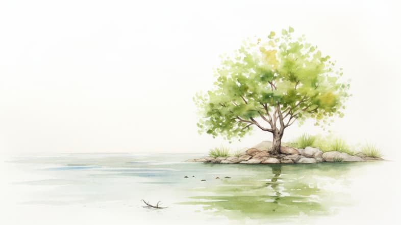 A watercolor illustration of a single green tree on a small island, reflected in still water.